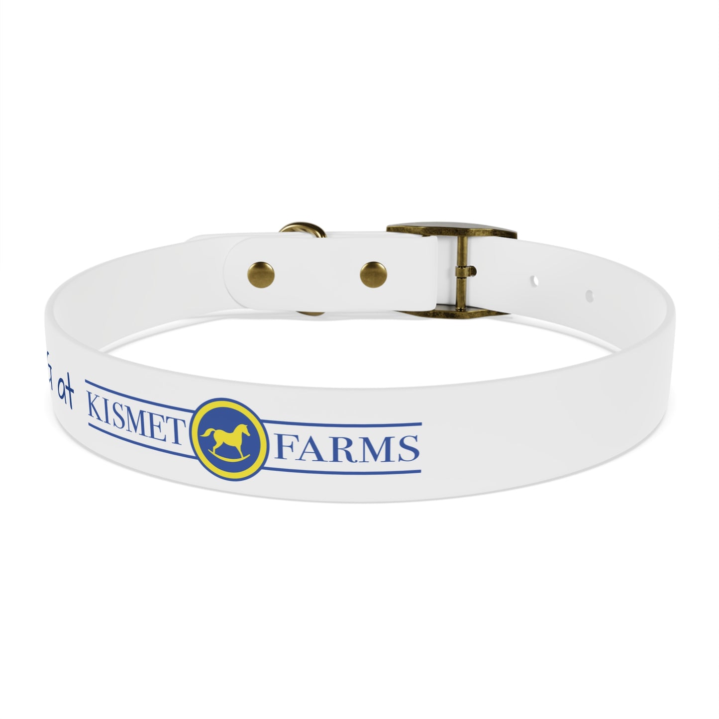 BARN DOG at Kismet Farms C4 Collar