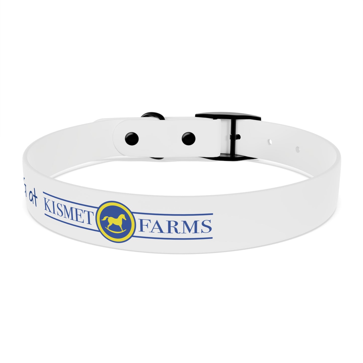 BARN DOG at Kismet Farms C4 Collar