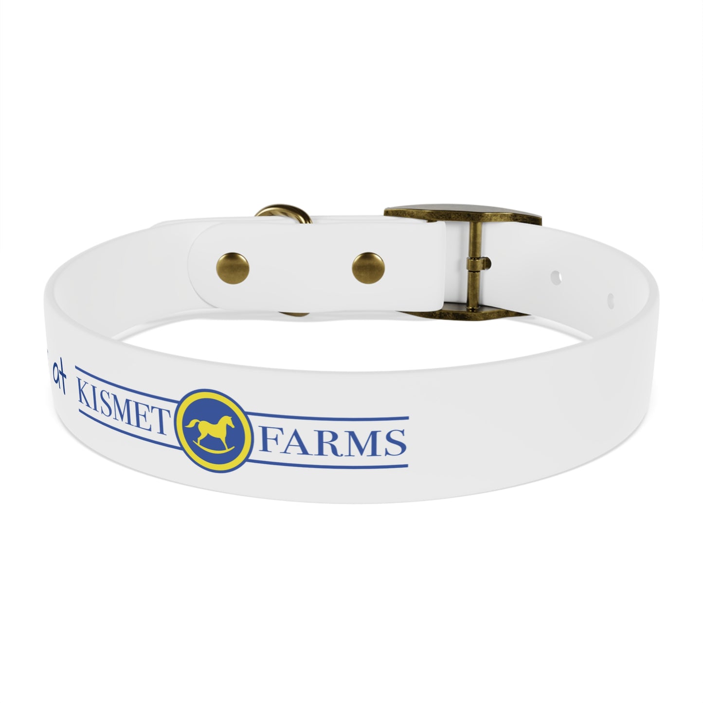 BARN DOG at Kismet Farms C4 Collar