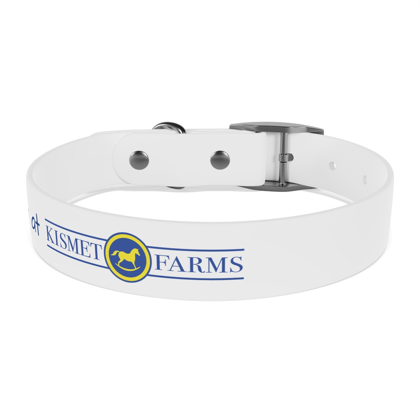 BARN DOG at Kismet Farms C4 Collar