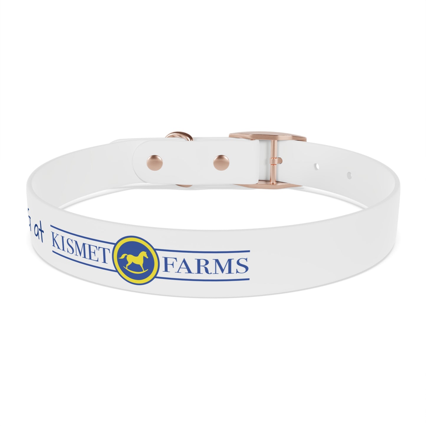 BARN DOG at Kismet Farms C4 Collar