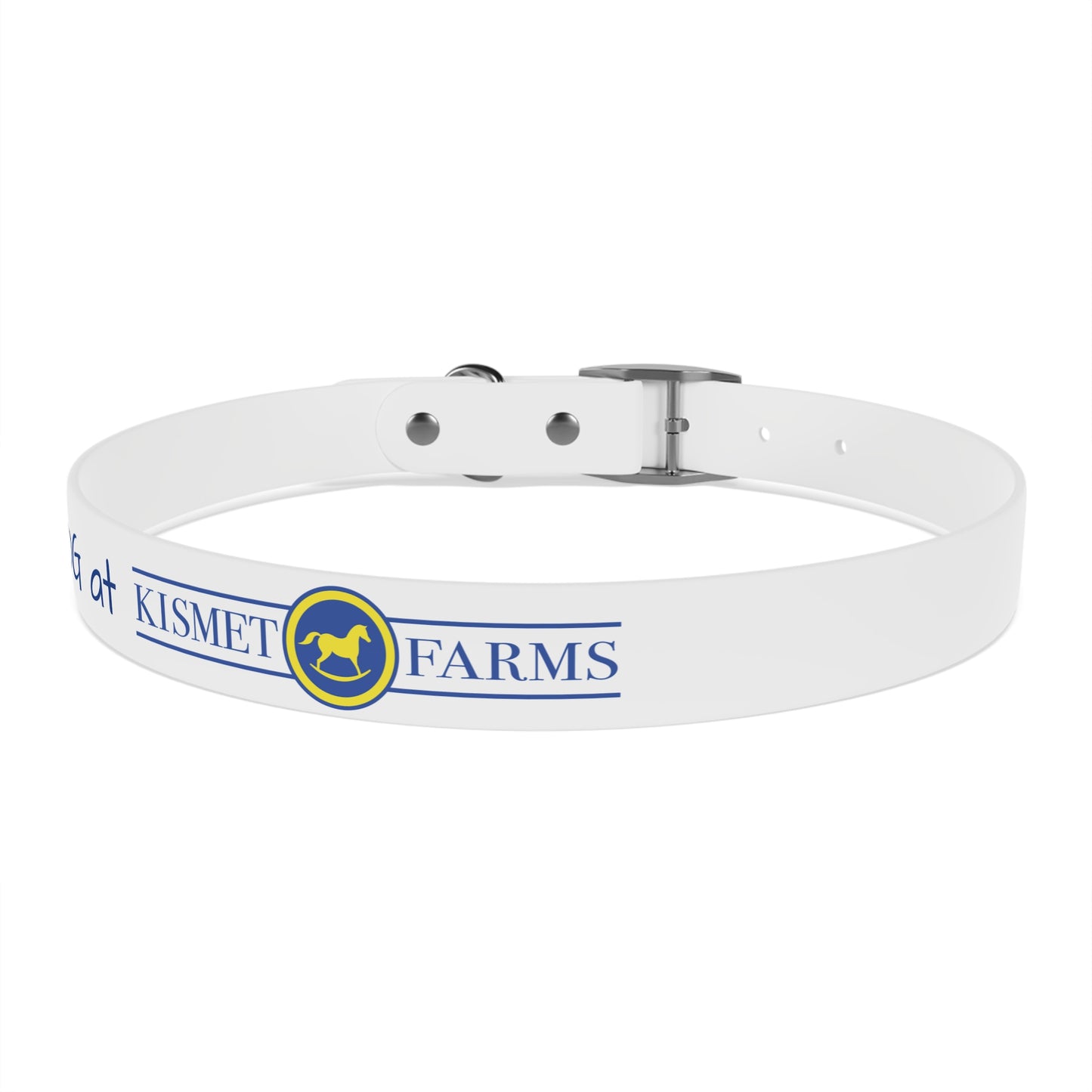 BARN DOG at Kismet Farms C4 Collar