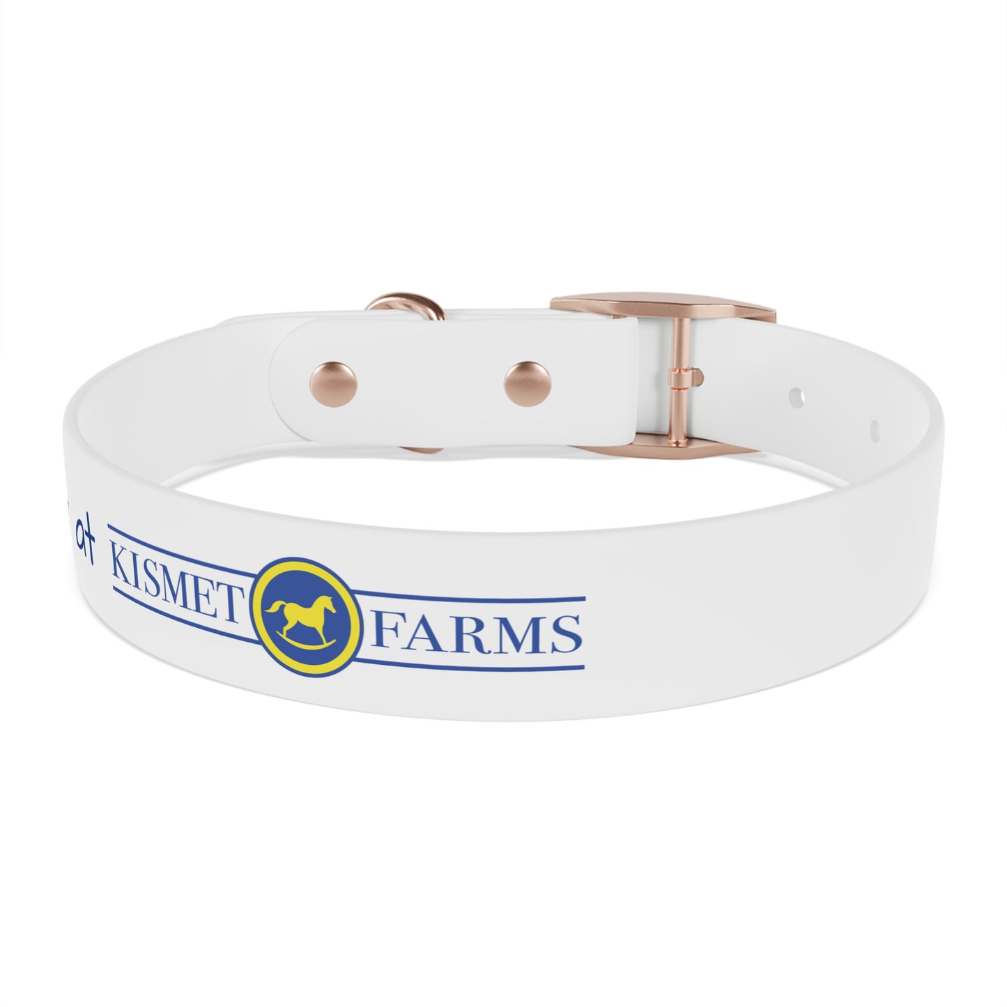 BARN DOG at Kismet Farms C4 Collar