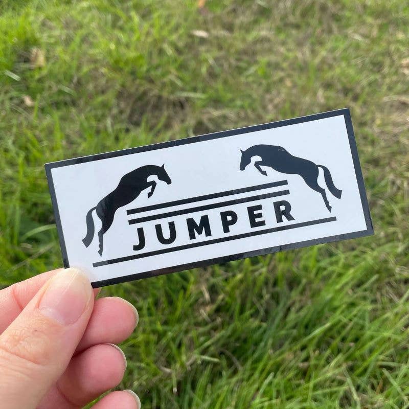 Dapplebay - Dapplebay Jumper Sticker Pack: Multi
